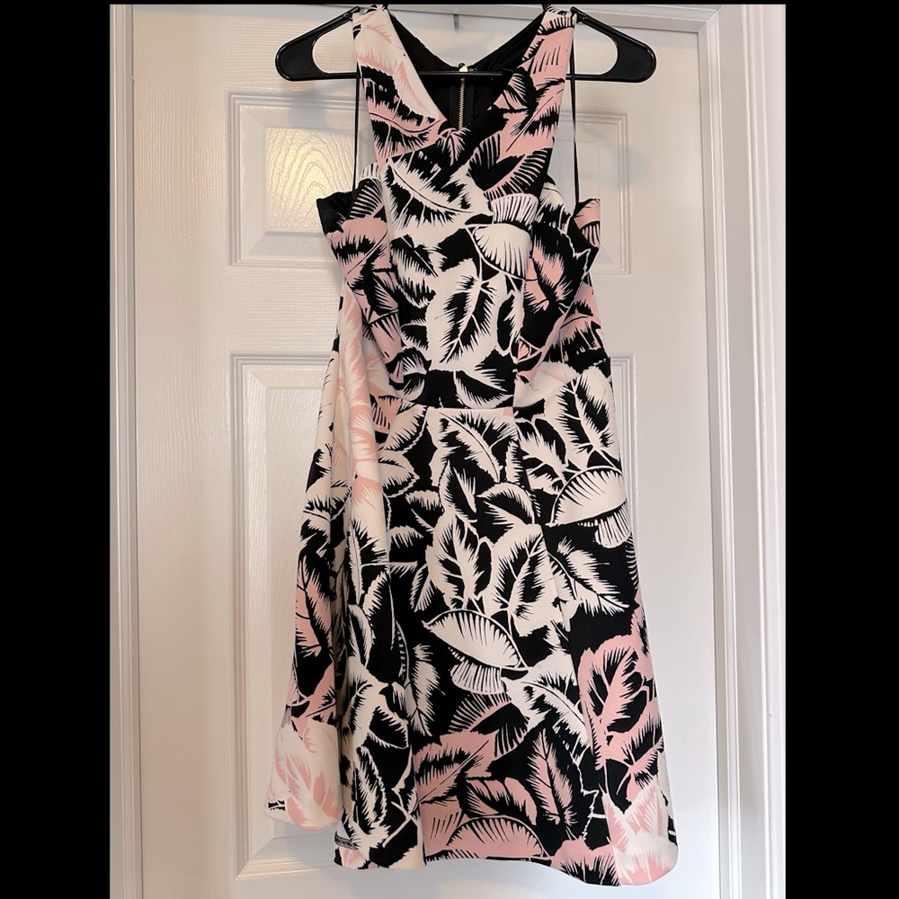 Express Vacation Dress